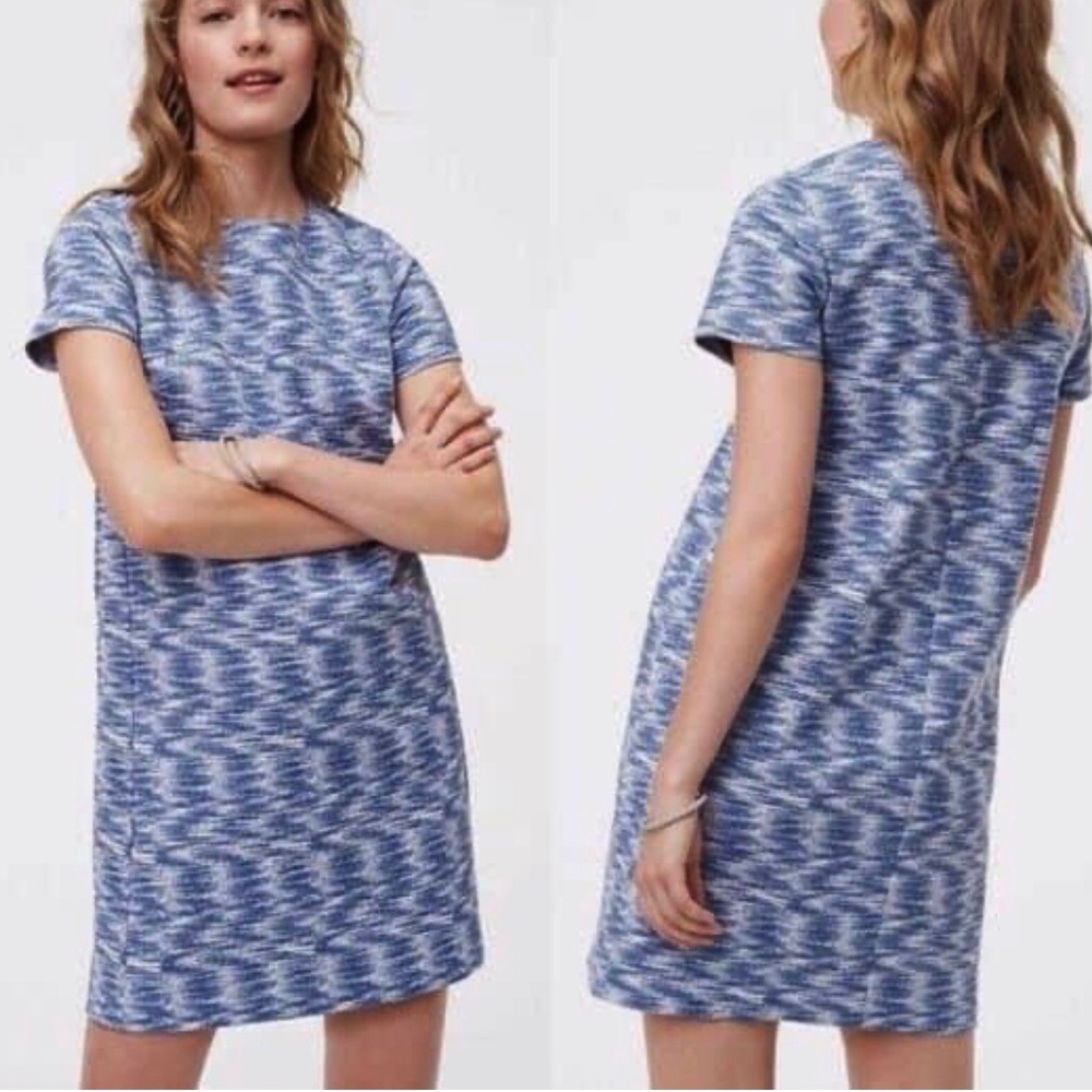 Ann Taylor Loft Petite Space Dye Shift Dress